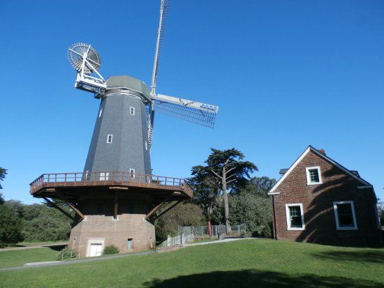 Golden Gate Park Windmills & Tulips